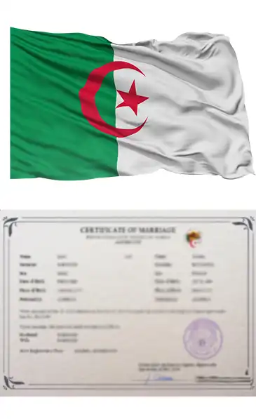 algeria-certificate-attestation-services-superior-translation-services algeria-certificate-attestation-services-superior-translation-services