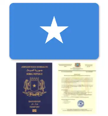 somali-translation-services-in-dubai-superior-translation-firm