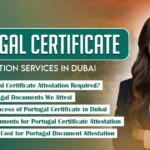 portugal-certificate-attestation-services-in-dubai-superior-translation-company-in-dubai